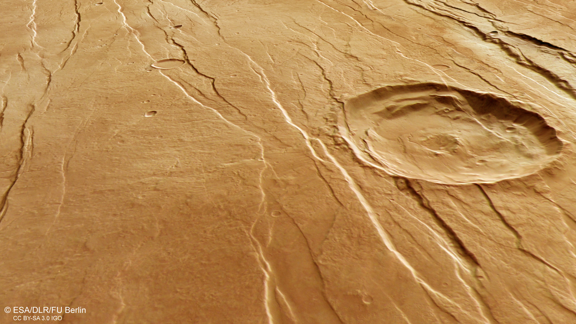 Tantalus Fossae 的透视图